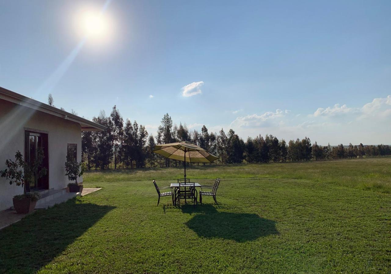 Merino Stal Guest Farm Ermelo Εξωτερικό φωτογραφία